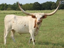 Silver Enough For You